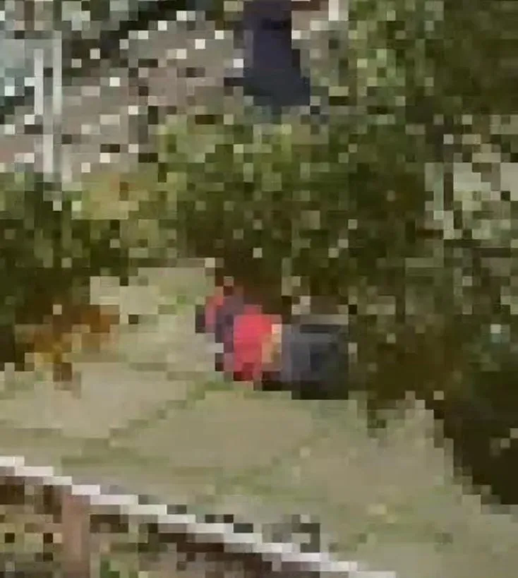 Cenas fortes: Homem suspeito de roubo é violentamente agredido em praça no Bairro Honório Fraga, em Colatina