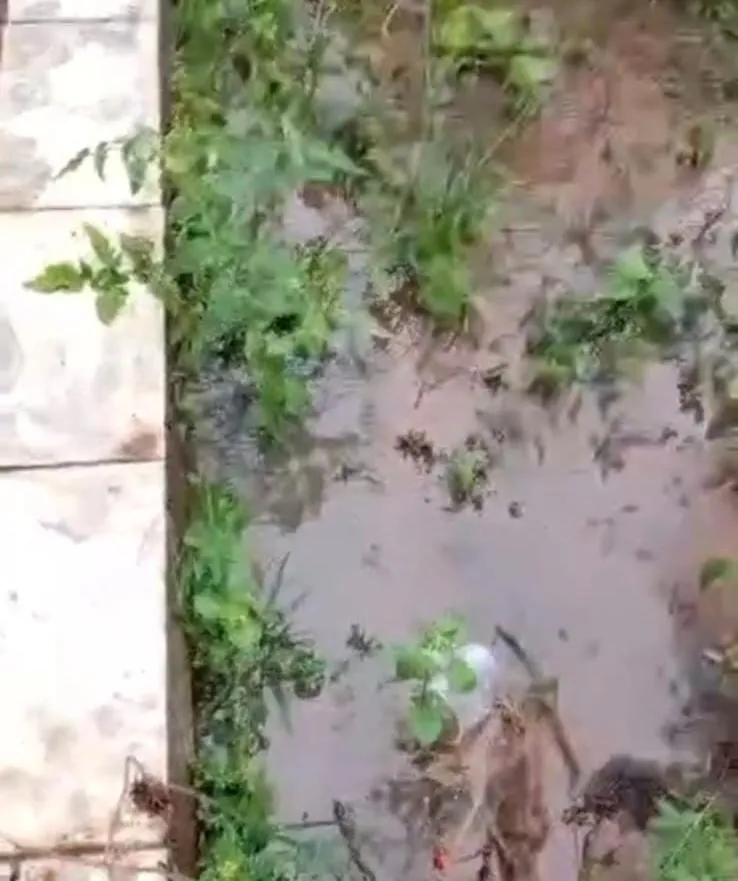 Moradores sofrem com retorno de esgoto em casa após obras no Bairro Carlos Germano Naumann, em Colatina