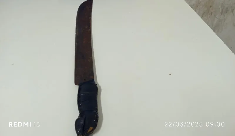 Tentativa de homicídio em Colatina: pai fere filho deficiente com facão e ferimento impressiona socorristas