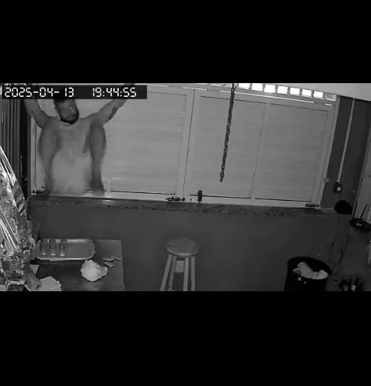 Vídeo: quiosque de colatinense é alvo de furto na Praia de Barra do Sahy; câmeras registraram ação do criminoso