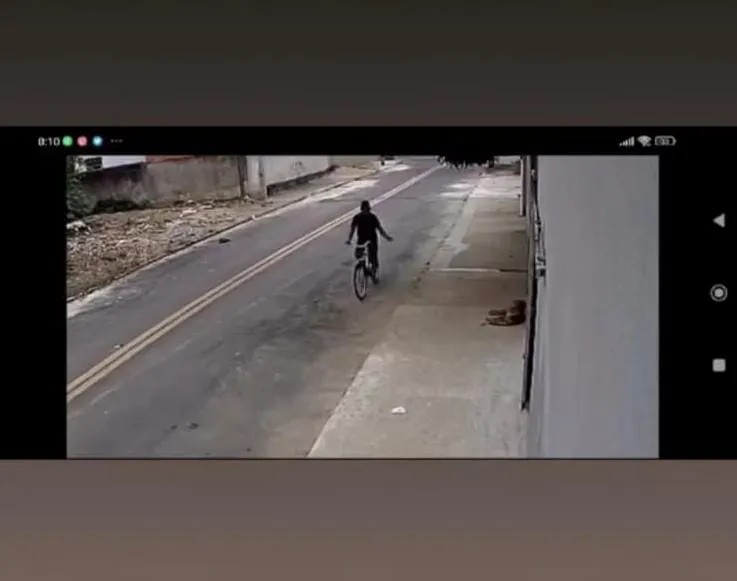Vídeo mostra homem oferecendo alimento com veneno a cachorro em Colatina e revolta moradores: “Denunciei, mas ninguém fez nada”
