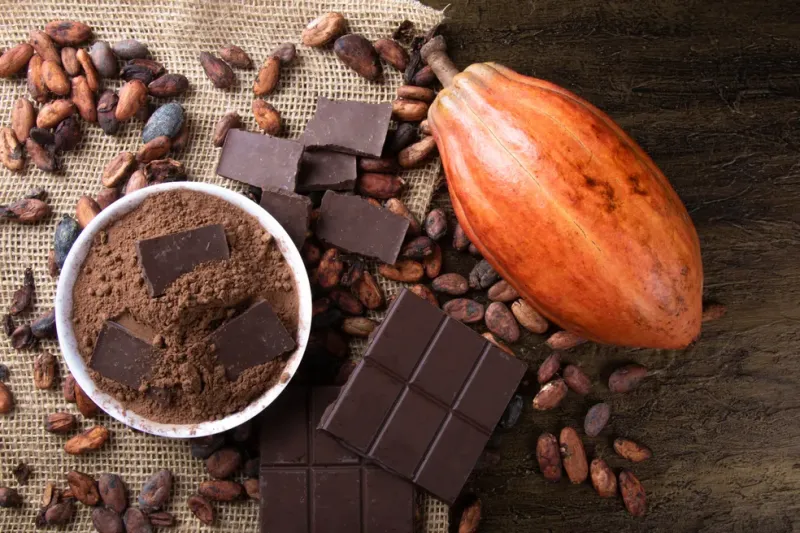 Linhares concentra quase 70% da produção capixaba de cacau e fortalece a indústria do chocolate