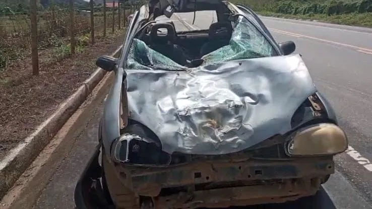 Vídeo: vaca atravessa pista e causa acidente em Colatina; motorista fere braço e animal morre