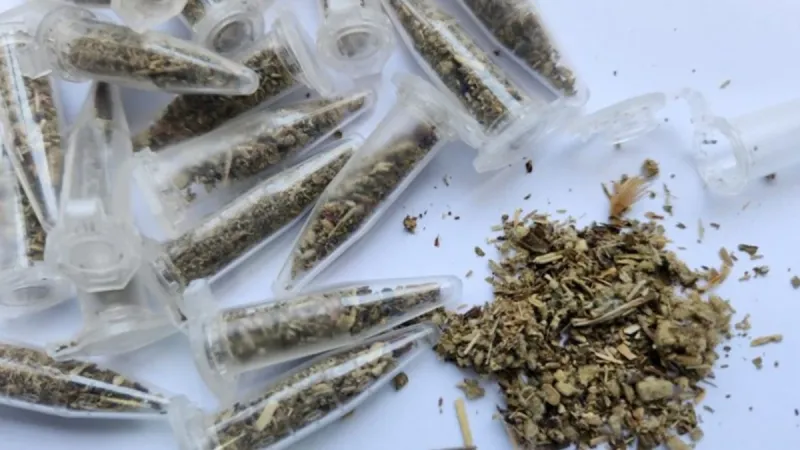 Polícia Científica do ES confirma maior apreensão de canabinoide sintético já registrada no Estado
