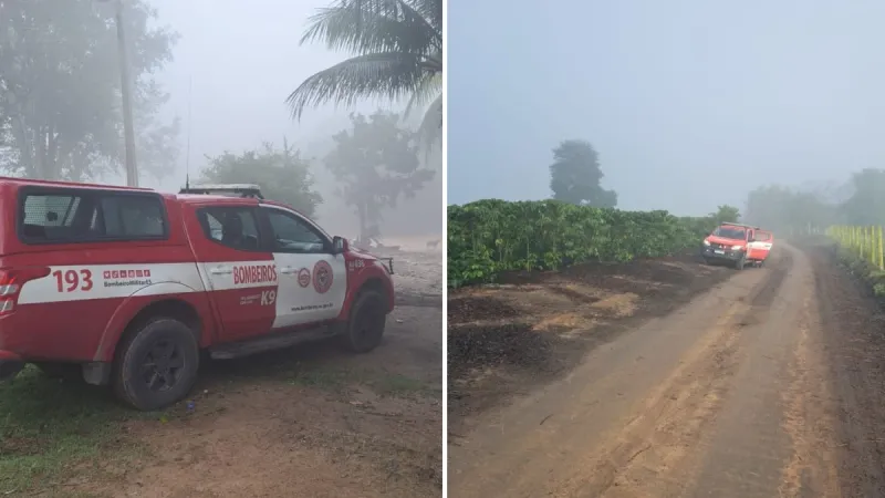 Menina de 3 anos desaparece em fazenda e é encontrada 15 horas depois em cafezal de Boa Esperança