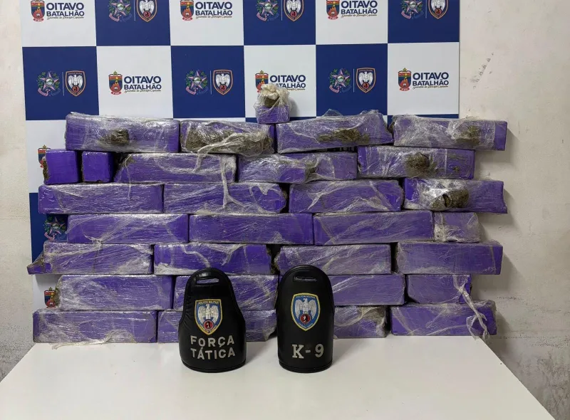 Polícia apreende 26,8 kg de maconha em Mascarenhas, distrito de Baixo Guandu