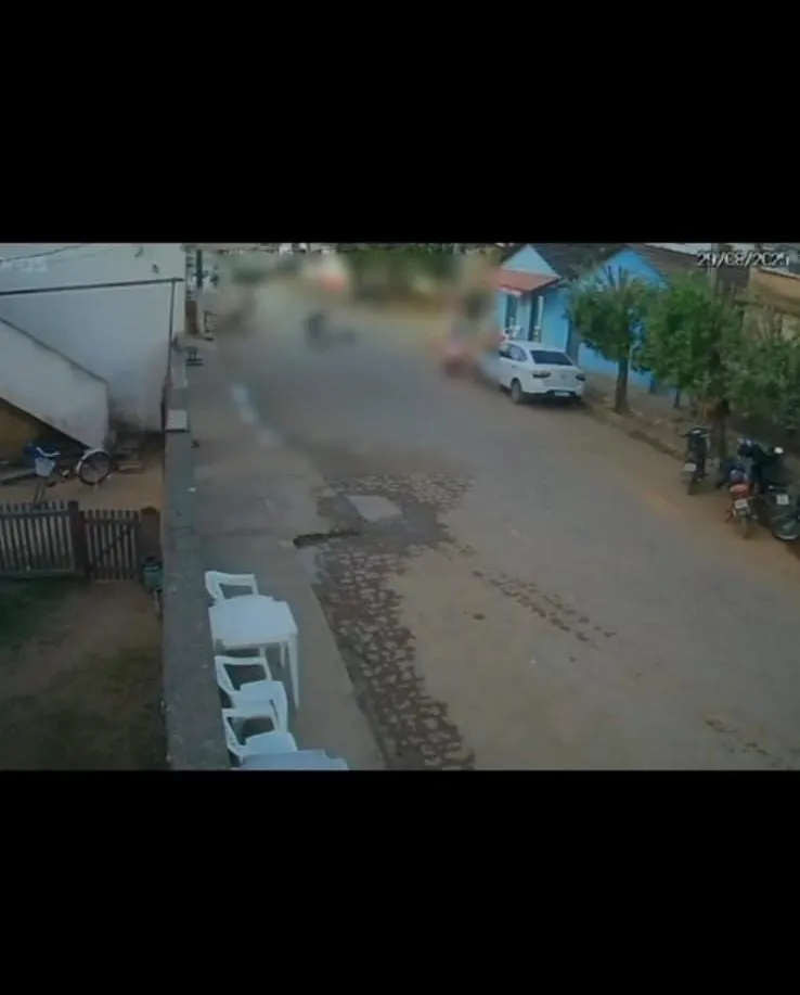 Vídeo: crueldade em Baixo Guandu: cachorro é arremessado e pisoteado até a morte