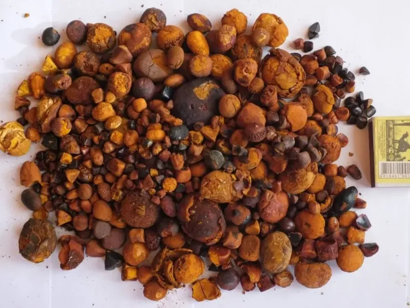 Frigorífico é arrombado e produto furtado em Colatina
