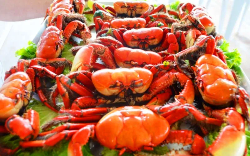 Sabores do mangue: festival gastronômico celebra o Caranguejo em Pontal do Ipiranga