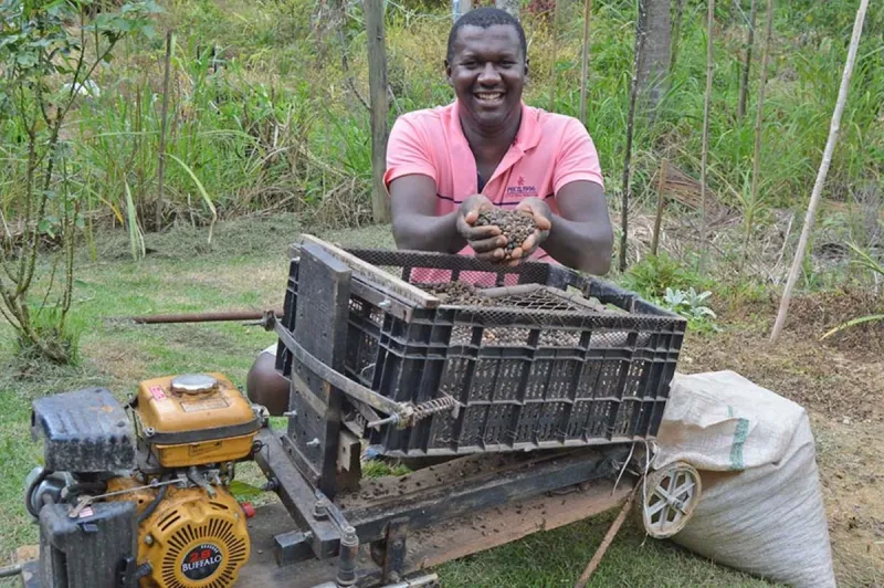 Atenção Colatina, Linhares e região: agricultor capixaba cria peneirador portátil que pode transformar o trabalho na colheita de café