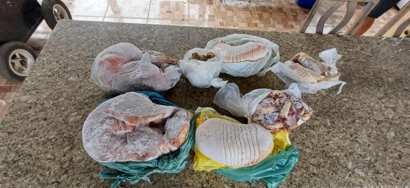 Ex-presidente da Câmara de Governador Lindenberg é autuado por crime ambiental após apreensão de animais silvestres e carnes de caça