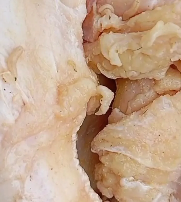 Consumidora de Colatina encontra larvas em carne vendida em açougue e faz alerta à população