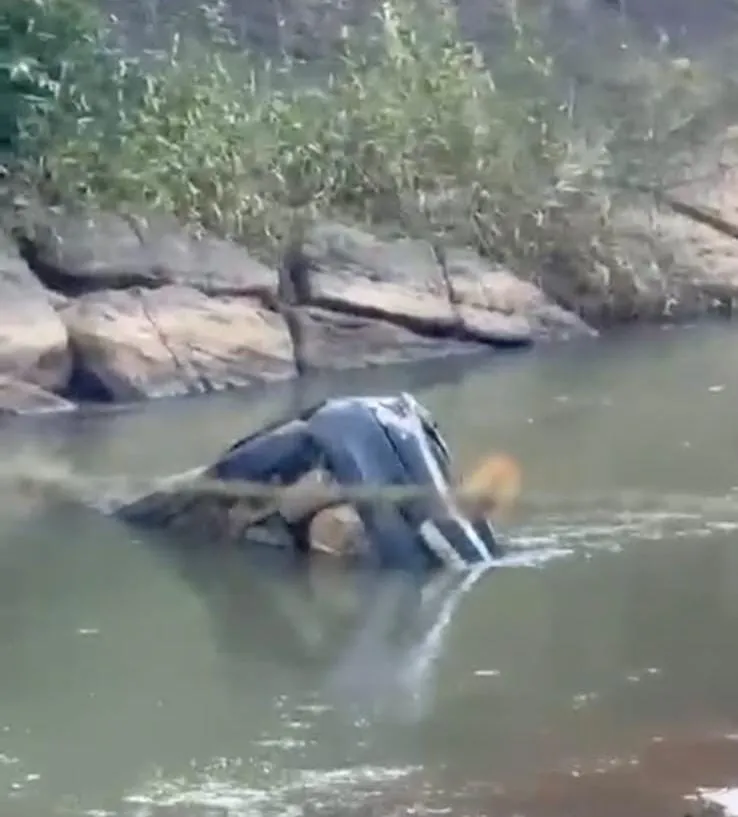 Vídeo: carro com quatro ocupantes cai sobre pedras dentro de rio na Cachoeira do Oito, no interior de Colatina