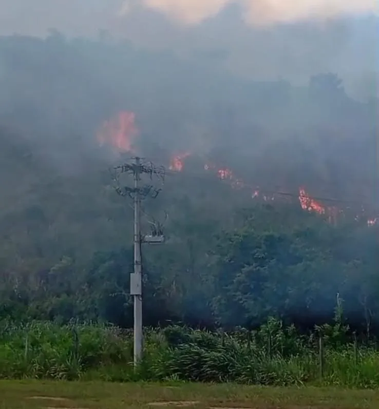 Incêndio atinge área próxima a frigorífico no bairro Honório Fraga e mobiliza Bombeiros em Colatina