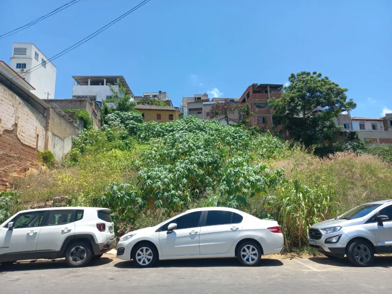 Comunidade: abandono de lote particular próximo ao Centro de Colatina expõe moradores a riscos e insegurança
