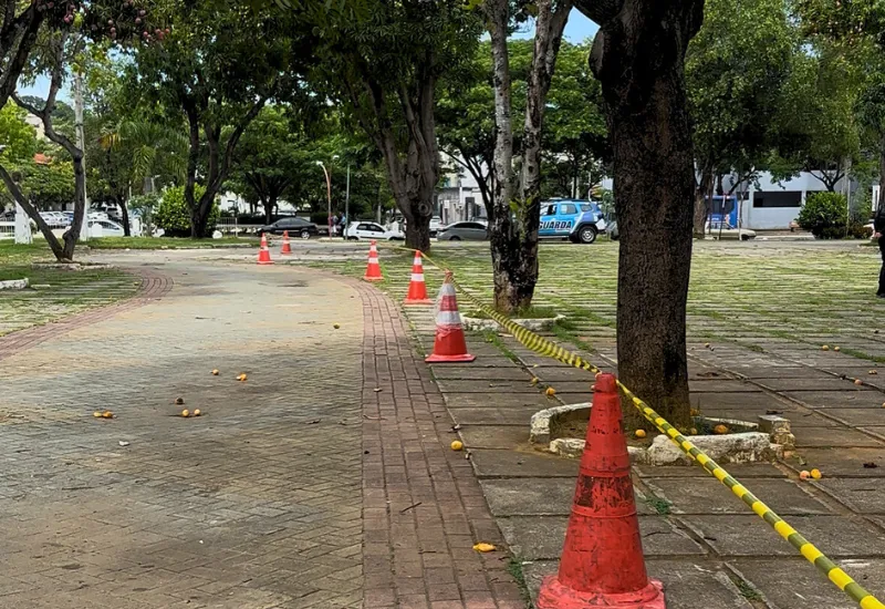 Praça Sol Poente: de cartão-postal e espaço cultural a estacionamento provisório em Colatina