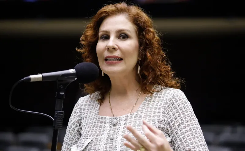 Como votaram os deputados federais de Colatina na decisão que manteve o mandato de Carla Zambelli