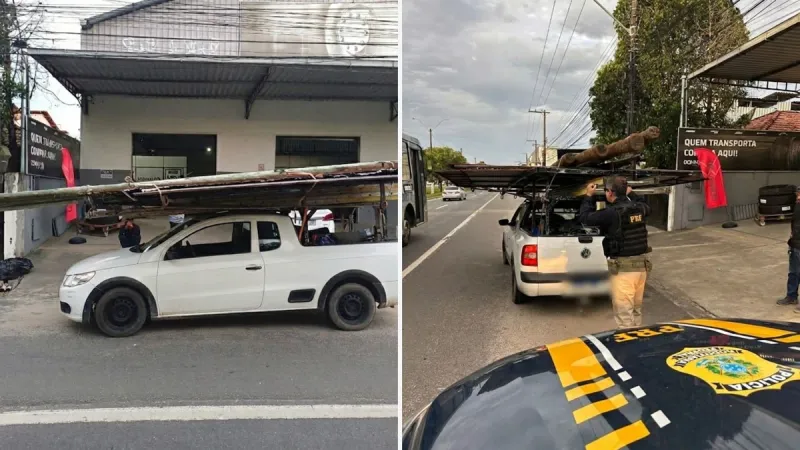 Motorista sem CNH é flagrado na BR-101 em Linhares transportando carga larga e colocando outros em risco