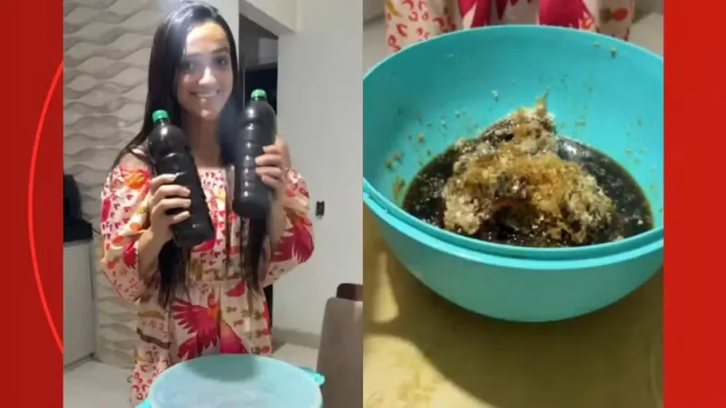 Família deixa casa após invasão de abelhas em Pinheiros e colmeia gigante rende 40 litros de mel