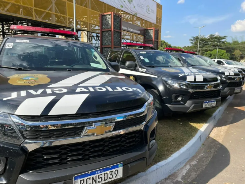 Mulher é presa suspeita de agredir enteado de 13 anos em São Domingos do Norte