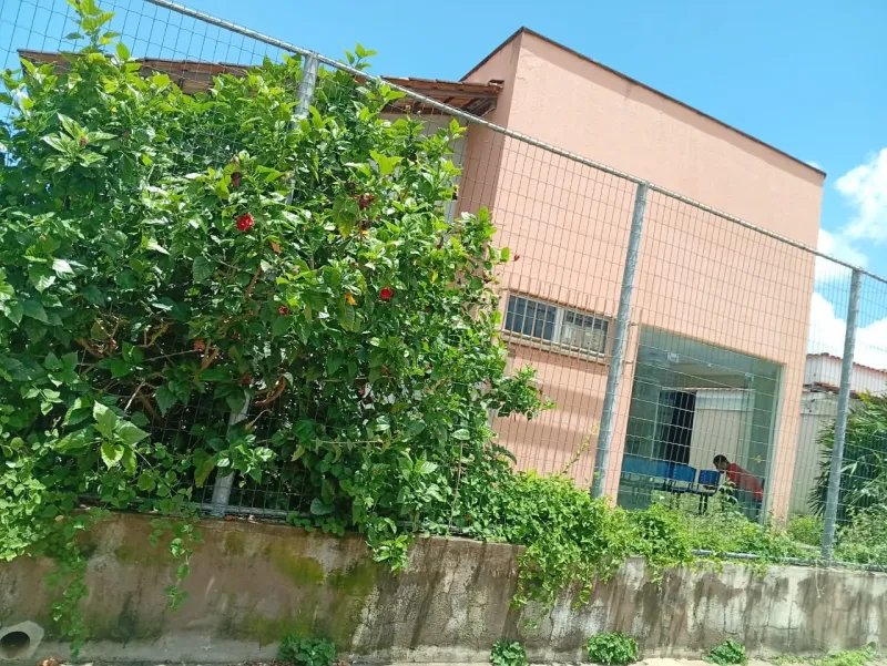 Posto de saúde da Reta Grande vira motivo de medo e abandono: mato, risco de escorpiões e portas quebradas