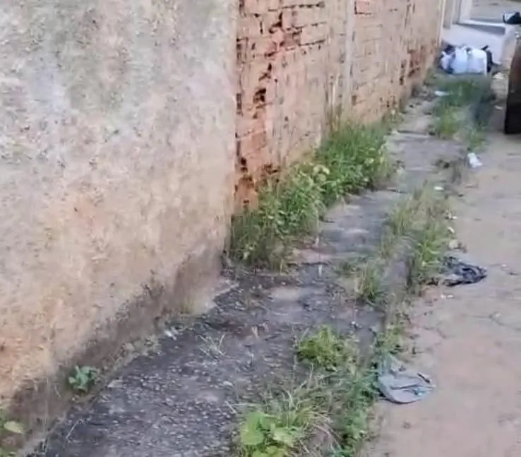 Limpeza pública em Colatina vira alvo de críticas e moradores denunciam abandono nos bairros