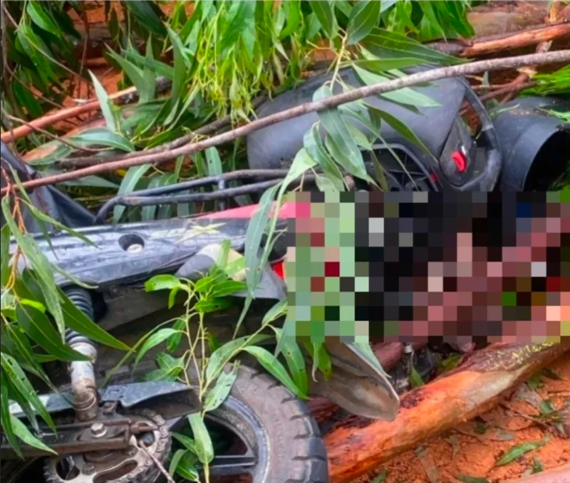 Árvore caída após chuvas provoca morte de motociclista em rodovia de Colatina