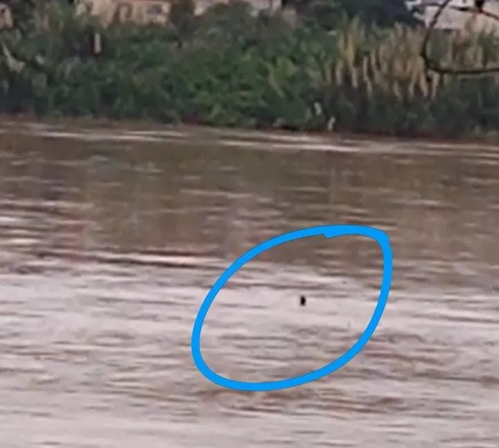 Homem que se jogou no Rio Doce é resgatado e está internado em Colatina