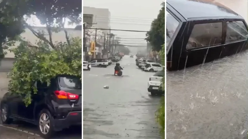 Temporal alaga ruas, invade casas e derruba árvore no Centro de Linhares