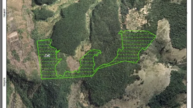 Polícia Ambiental identifica desmatamento ilegal de mais de 340 mil m² em área rural de Colatina