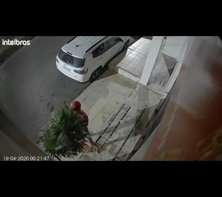 Vídeo: homem furta vaso com coqueirinho na frente de comércio, em Colatina