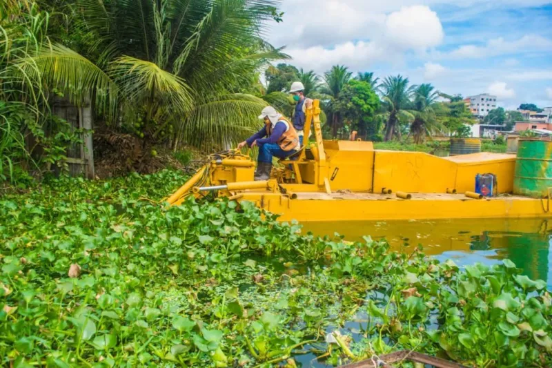 Plano para salvar lagoas de Linhares prevê milhões em investimentos e começa a sair do papel