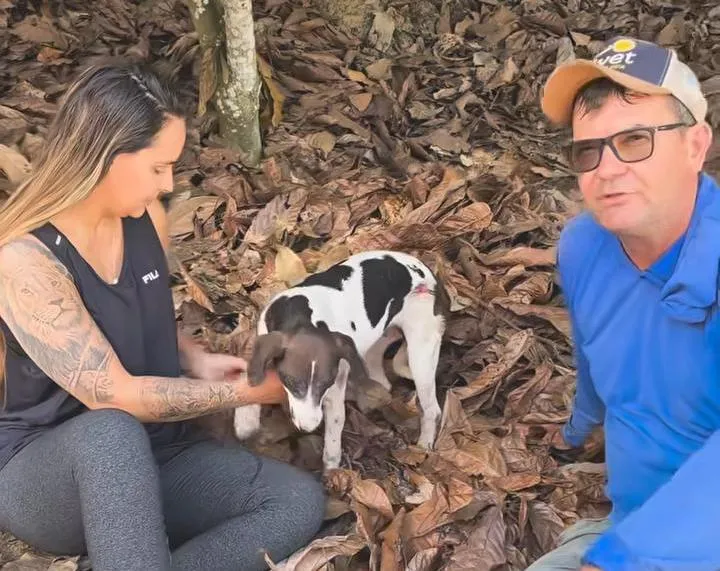 Bolinha finalmente está livre após difícil operação de resgate em Colatina