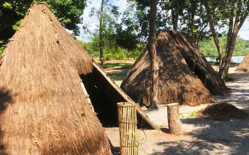 Turismo indígena em Aracruz ganha força e oferece experiências únicas no Norte do Espírito Santo