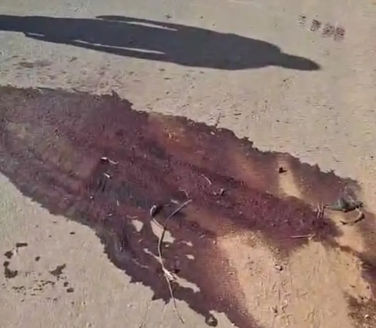 Adolescente de 17 anos morre em acidente entre motocicleta e carreta em cidade próxima a Pancas