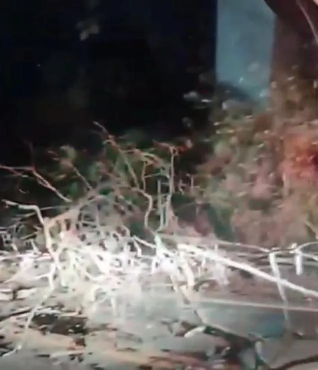Vídeo: relatos de populares apontam que servidor morto em acidente em Marilândia estava supostamente sem capacete