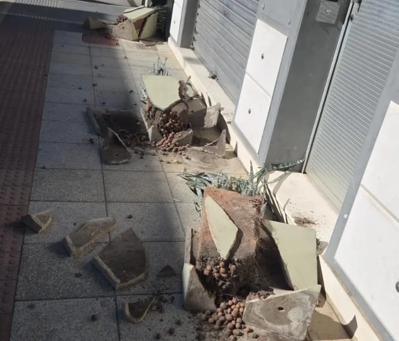 Vídeo flagra homem destruindo vasos de flores em uma das ruas mais movimentadas de Colatina