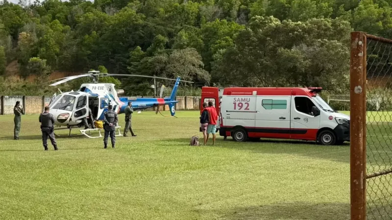 Criança de 2 anos é atacada por três cães e transferida de helicóptero para hospital de Colatina