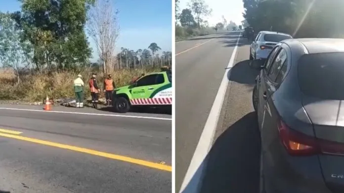 Motociclista morre em acidente na BR-101 e corpo é encontrado às margens da rodovia