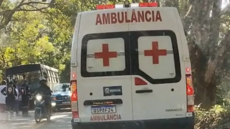 Crianças ficam feridas após ônibus escolar bater em carreta em Pancas