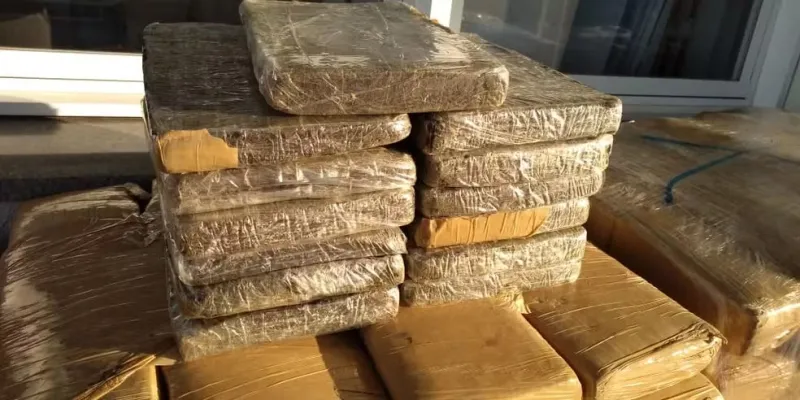 Quase 10 quilos de maconha são apreendidos em área de mata, em Colatina