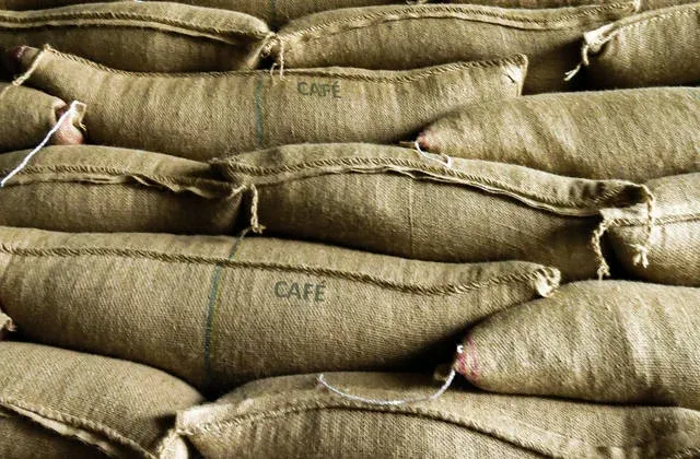 Mais de 1,6 tonelada de café conilon é furtada em Marilândia