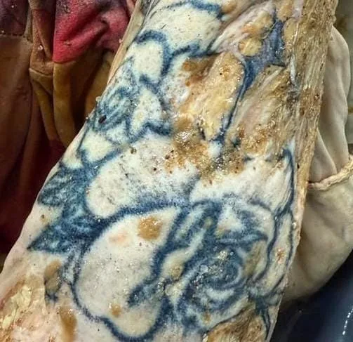 Corpo encontrado no Rio Doce em Colatina pode ser de pessoa trans ou travesti; vítima segue sem identificação
