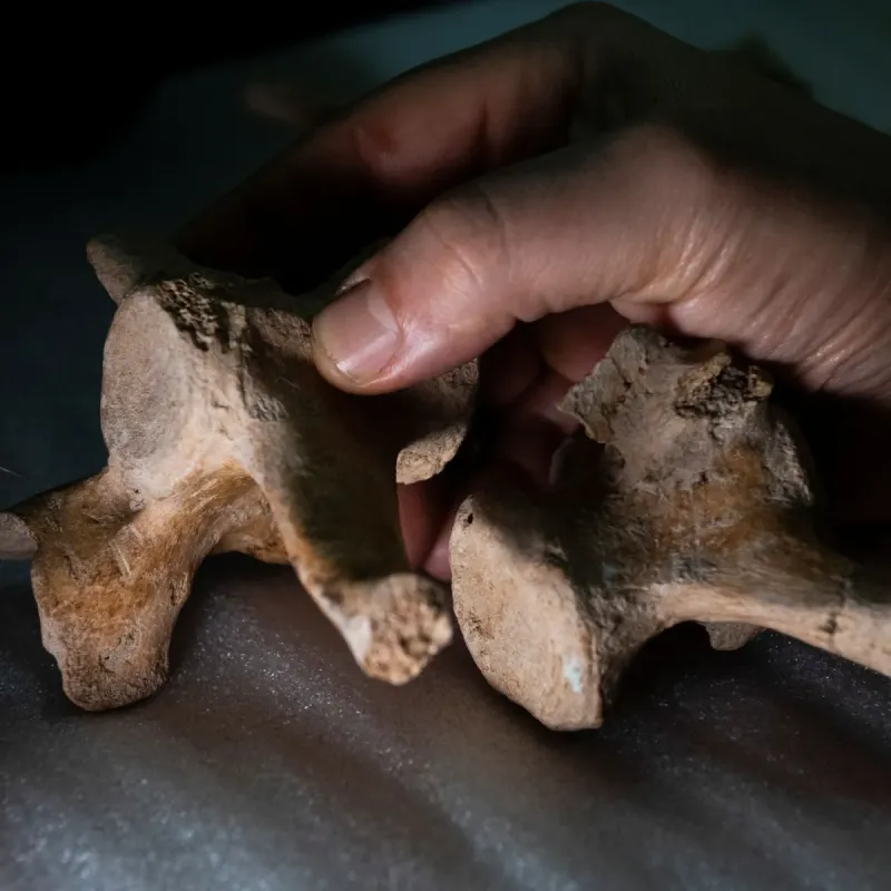 Suposto osso humano é encontrado próximo a local onde corpo havia sido recolhido em Colatina