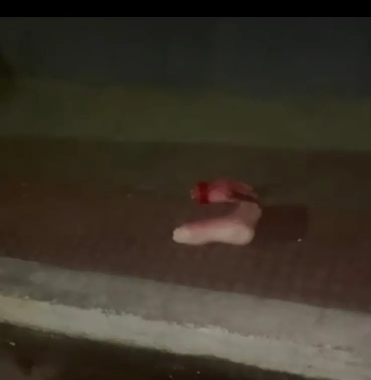Vídeo com supostos restos humanos em calçada causa repercussão em Colatina