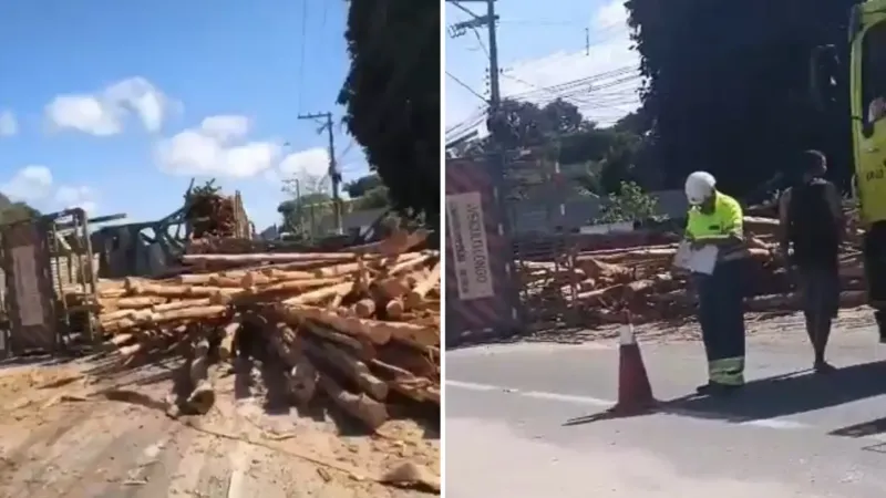 Carreta carregada com madeira tomba e carga cai sobre a BR-101 em Linhares