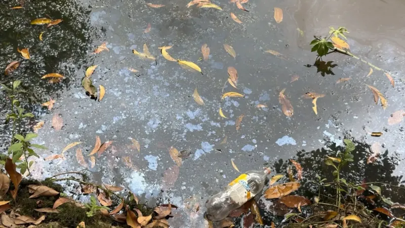 Água de rio fica escura, apresenta sinais de óleo e preocupa moradores de Guaraná, em Aracruz