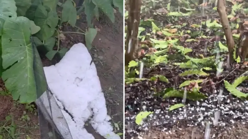 Temporal com granizo e ventos fortes destrói parte do telhado de escola e causa prejuízos em Águia Branca