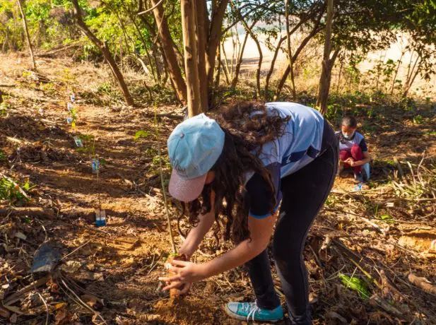 Alunos plantam 100 mudas de árvores às margens do Rio Doce em Colatina